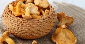 Как жарить грибы – рекомендации и рецепты